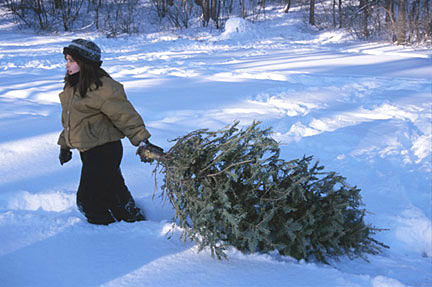 White Christmas eCard