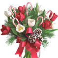 Tulips & Candy Canes Virtual Gift