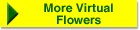 More Virtual Flowers