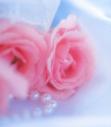 Fusia Fantasy Pink Roses