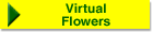 Send Virtual Flowers!