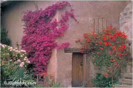 Carmel Doorway