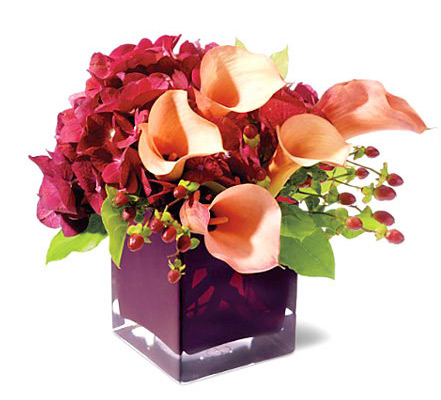 Calla Classique eFlowers Bouquet