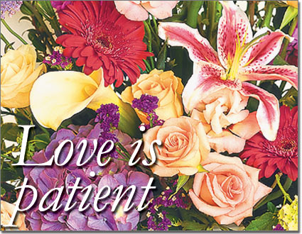 Love Is Patient