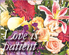 Love is patient