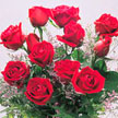 Send Virtual Flowers, eCards and Virtual Bouquets Free at i-Flowers ...