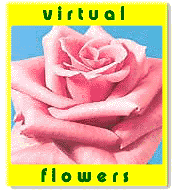 Send Virtual Roses Online!