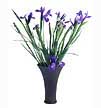 Violet Vase with Iris'
