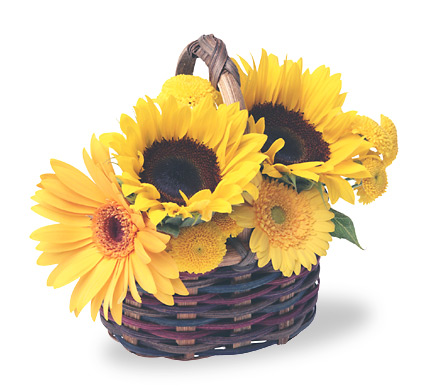 Sunflowers Basket