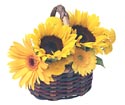 Sunflower Basket