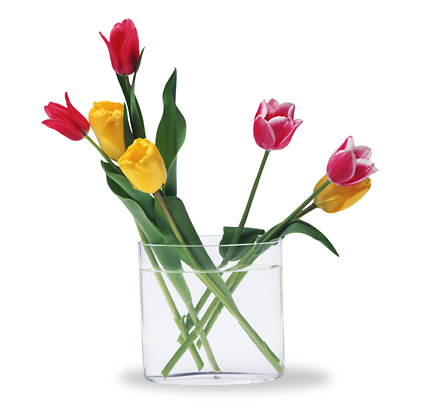 Spring Tulips Vase