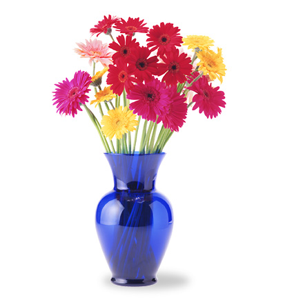 Blue Vase of Gerbera Daisies