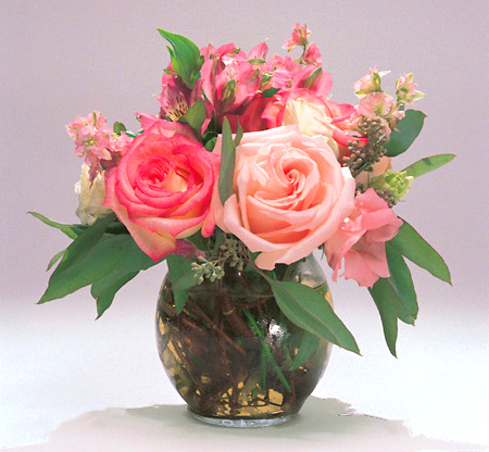 Dreamy Pink Roses