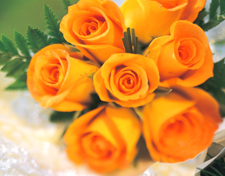 Golden Riches Orange Roses at iFlowers.com