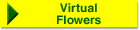 Virtual Flowers!